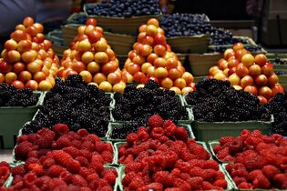 Comprendre l’analytique de marché : un outil essentiel pour les entreprises