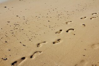 Bilan carbone : comprendre et réduire son empreinte environnementale
