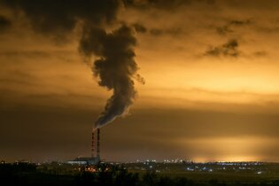 Comprendre le prix de la compensation carbone : enjeux, calculs et impacts pour les entreprises
