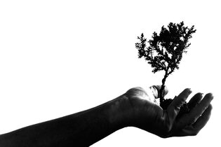 Comprendre la croissance verte : enjeux et opportunités pour un développement durable