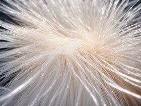 Où faut-il idéalement placer le boîtier de fibre optique ?