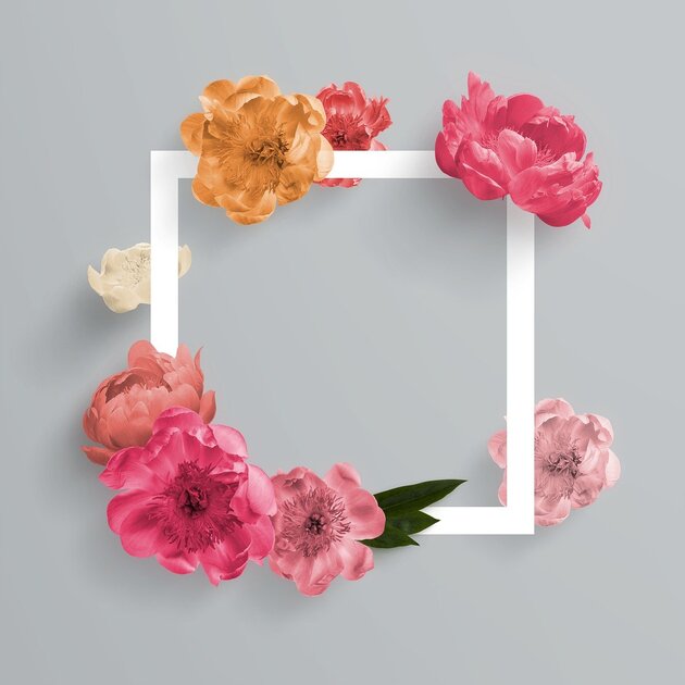 Comment programmer un post sur Instagram ?