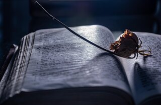 Comment reformuler un texte efficacement en ligne ?