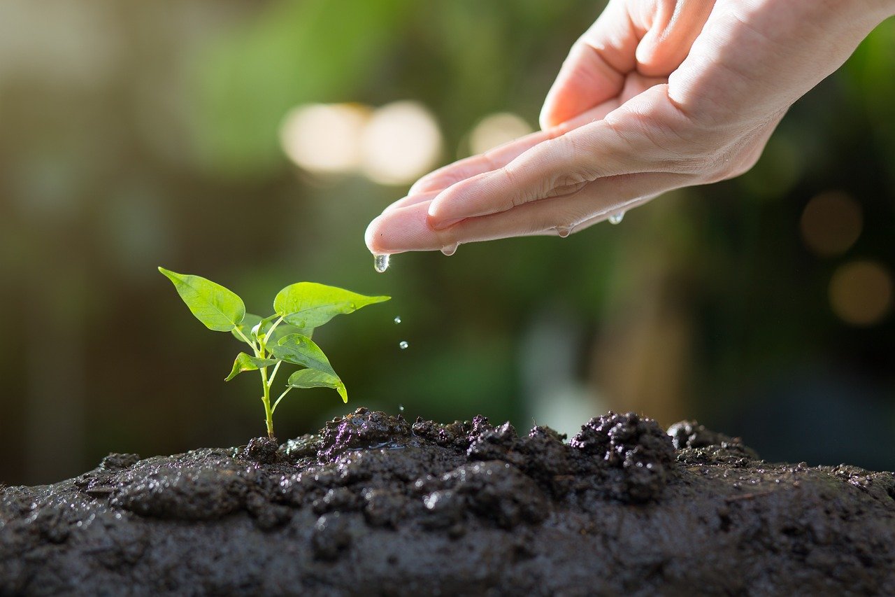 découvrez comment la croissance verte transforme nos économies en alliant développement durable et innovation. explorez les stratégies visant à promouvoir une société respectueuse de l'environnement tout en stimulant la prospérité économique.