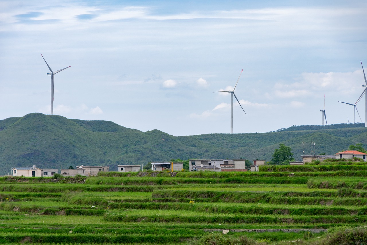 découvrez les principes du développement durable, une approche essentielle pour préserver notre environnement tout en favorisant le bien-être économique et social. apprenez comment intégrer ces pratiques dans votre quotidien pour un avenir plus écologique et responsable.