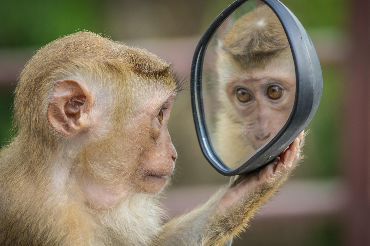 découvrez le design thinking, une approche innovante pour résoudre des problèmes complexes et favoriser la créativité. apprenez à utiliser cette méthodologie centrée sur l'utilisateur pour développer des solutions impactantes et améliorer vos processus de conception. transformez vos idées en succès grâce au design thinking.