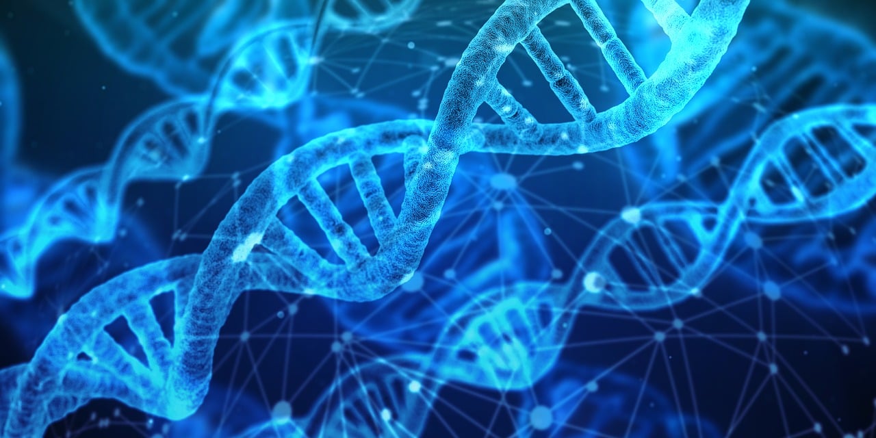 découvrez les dernières tendances en matière d'innovation : technologies révolutionnaires, idées disruptives et solutions créatives qui transforment le monde. restez à la pointe du progrès et inspirez-vous des leaders du changement.