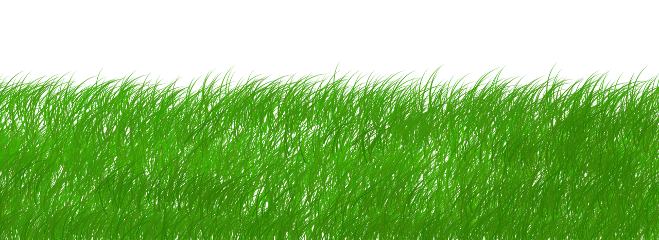 découvrez l'importance de la durabilité pour un avenir meilleur. explorez des pratiques écologiques, des solutions innovantes et des conseils pour adopter un mode de vie plus respectueux de l'environnement.
