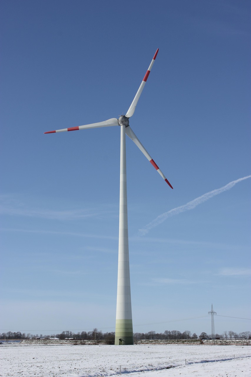 découvrez l'importance de la durabilité dans notre monde actuel. explorez des pratiques et des solutions innovantes pour assurer un avenir plus vert et responsable, en harmonie avec l'environnement et les générations futures.
