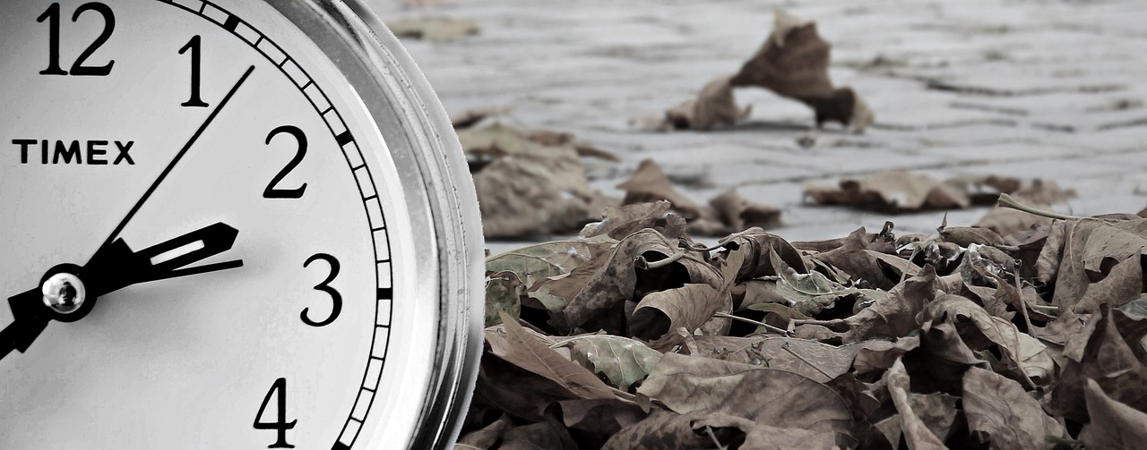 découvrez l'art du changement au sein des organisations avec notre guide sur le change management. apprenez à gérer les transitions efficacement, à surmonter les résistances et à impliquer vos équipes pour un passage réussi vers de nouvelles méthodes et pratiques.