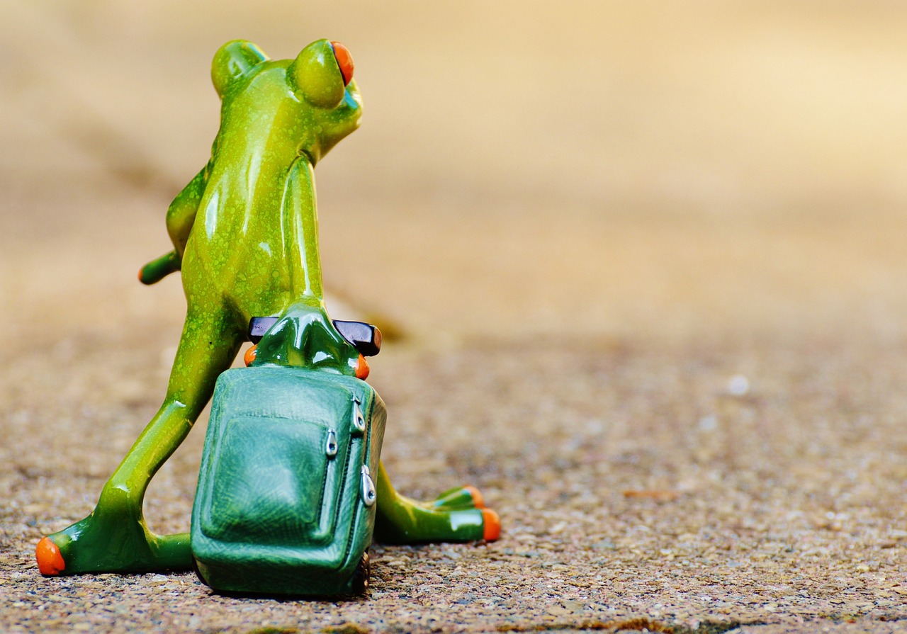 découvrez des conseils, astuces et inspirations pour organiser vos voyages, explorer de nouvelles destinations et vivre des expériences inoubliables autour du monde.